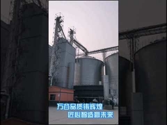 Trockner-Ausrüstungs-Heißwind-Heizungs-landwirtschaftliche trockenere Maschine des Mais-500T/D