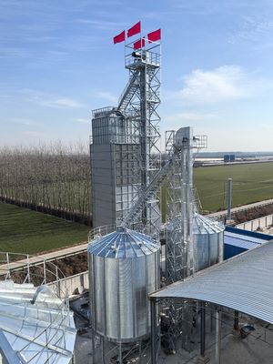 600 der Reis-Trockner-Tonnen Maschinen-, doppelte zentrifugale Paddy-trocknendes System-Kraftstoffeinsparung