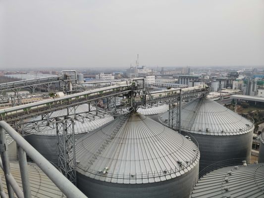 Hermetische Versiegelung und Schadensbekämpfungstechnologie Stahlkorn-Silo für die entscheidende Aufbewahrung in der Landwirtschaft